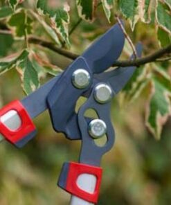 Herramientas de poda y corte