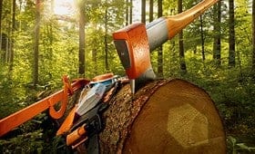 destral-stihl-1 Tienda para Profesionales Forestales