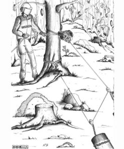 dibuix forest winch 4