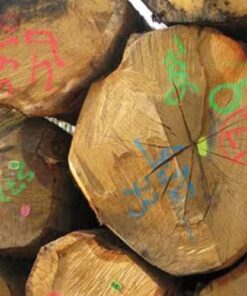 Marcación y señalización forestal