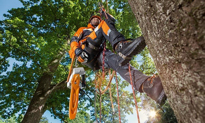 stihl-arborist Tienda para Profesionales Forestales