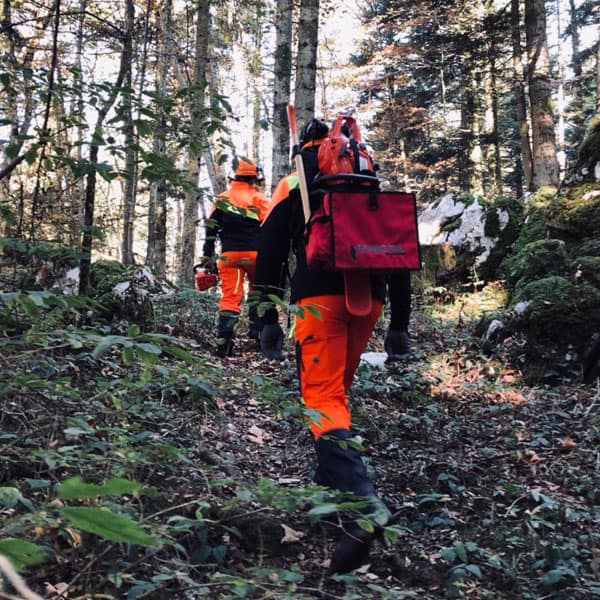 Mochila portamotosierra - Imagen 4