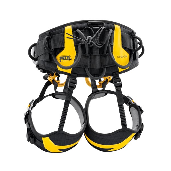 Arnes Sequoia SRT - Imagen 2