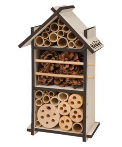 Hotel forestal insectos scout